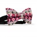 Papion personalizat, model crizanteme, flori roz